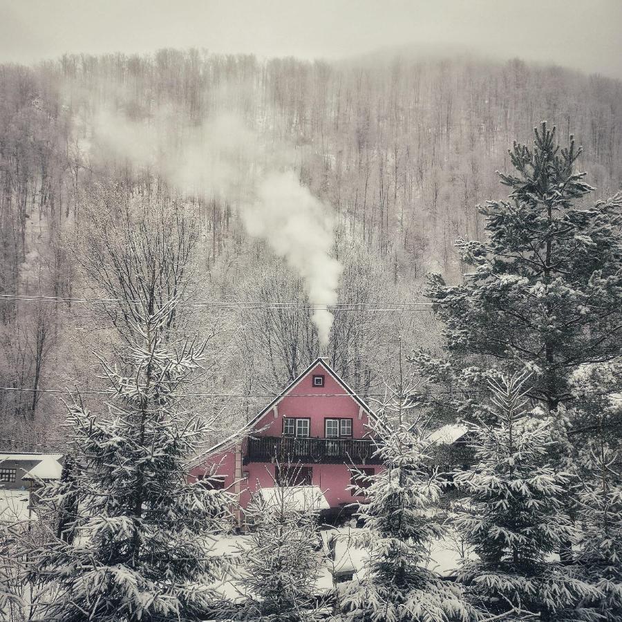 Cabana Valea Rea, Boga Boga  Bagian luar foto