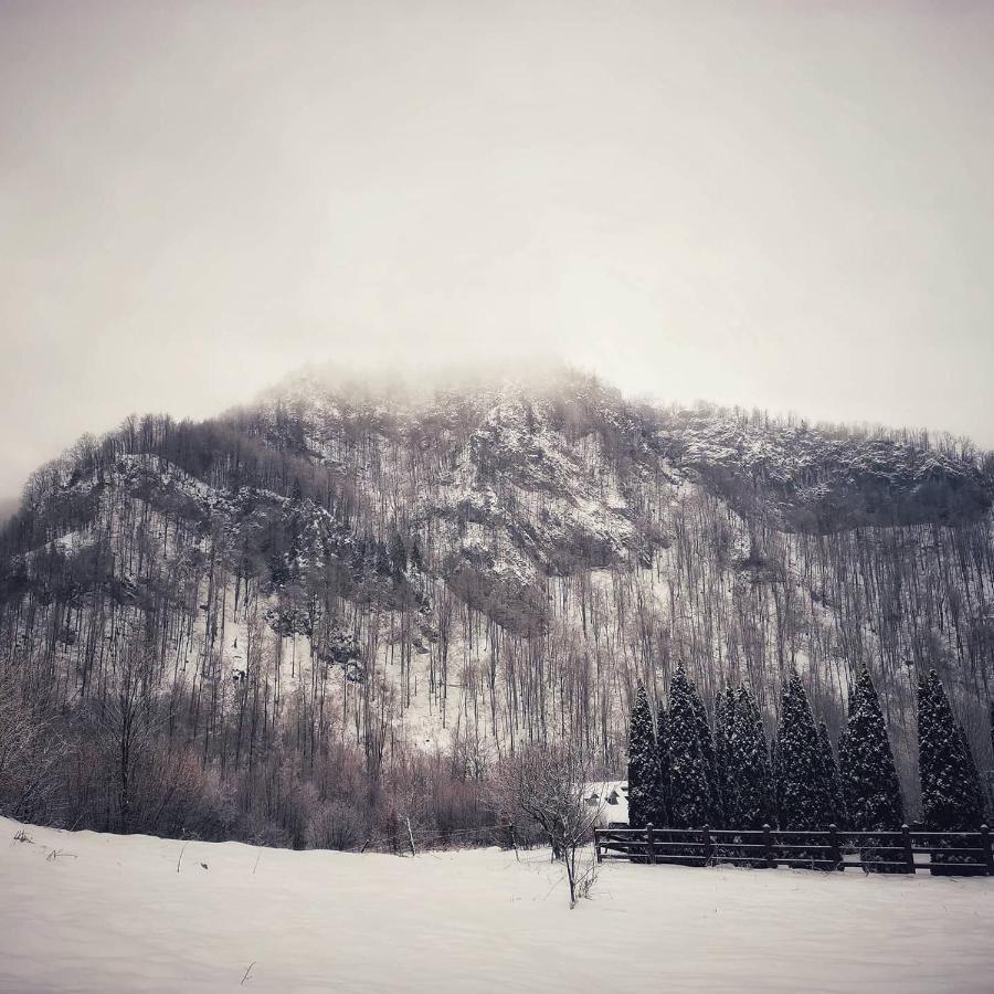 Cabana Valea Rea, Boga Boga  Bagian luar foto