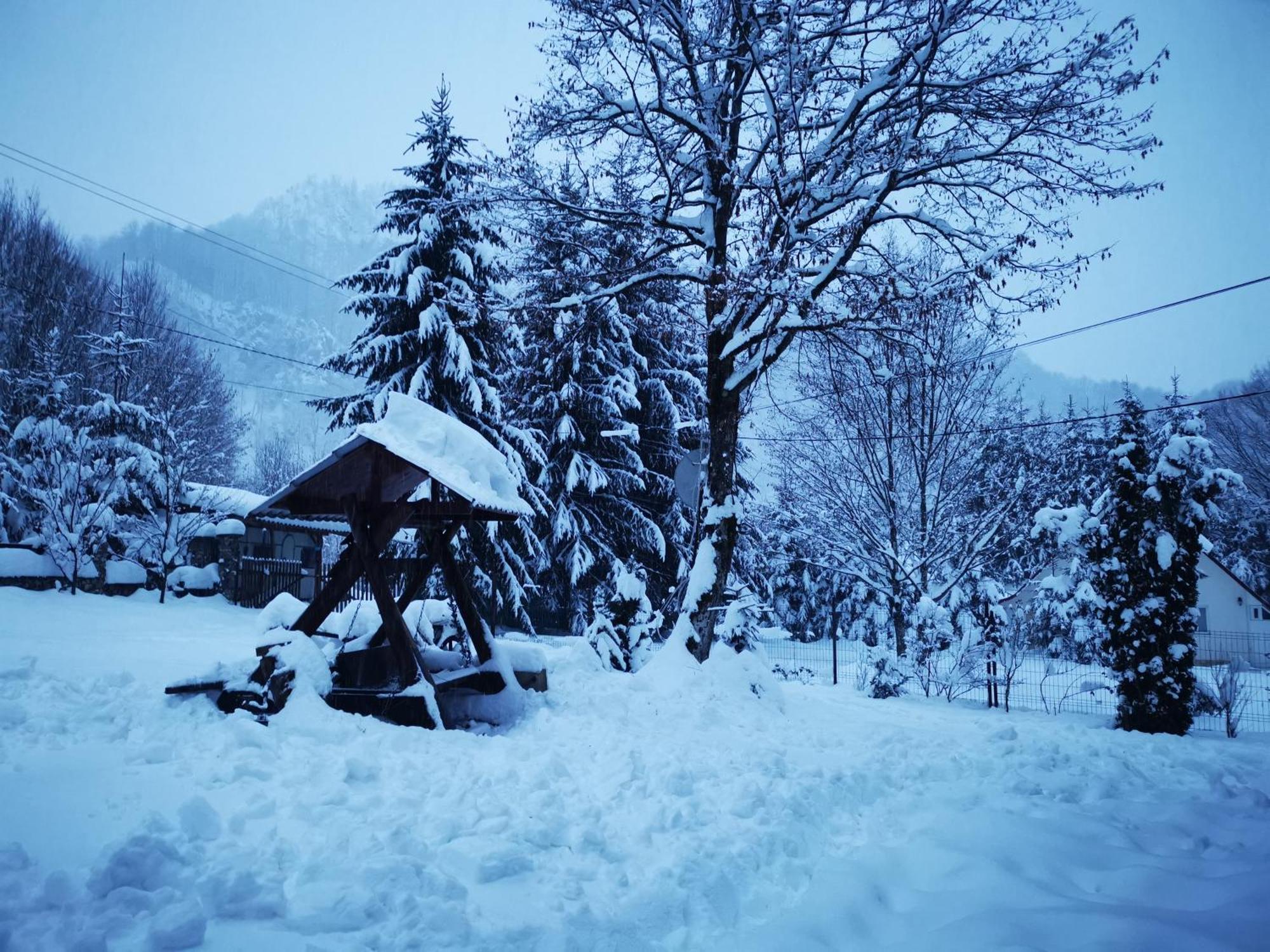 Cabana Valea Rea, Boga Boga  Bagian luar foto