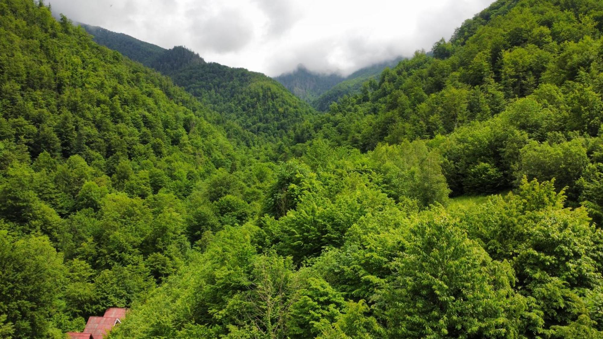 Cabana Valea Rea, Boga Boga  Bagian luar foto