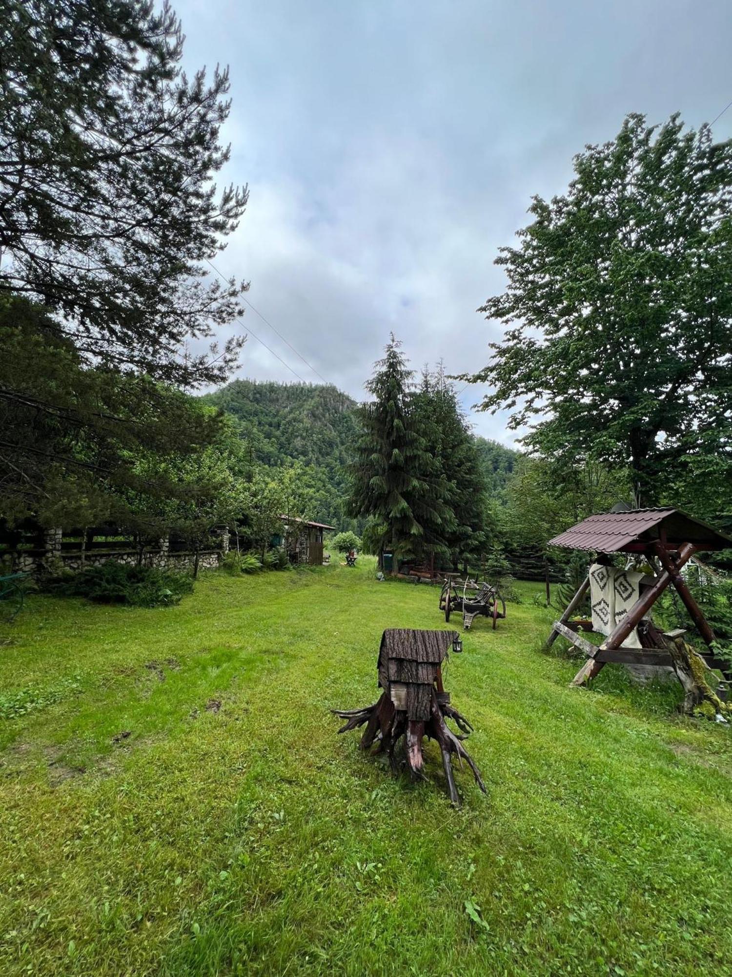 Cabana Valea Rea, Boga Boga  Bagian luar foto